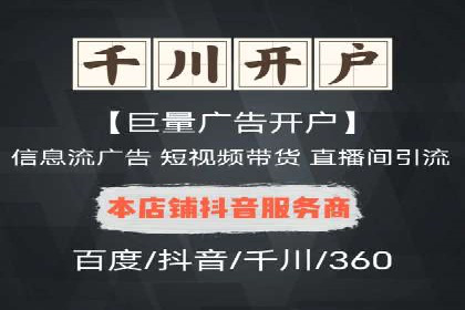 顶级SEM服务公司案例解析